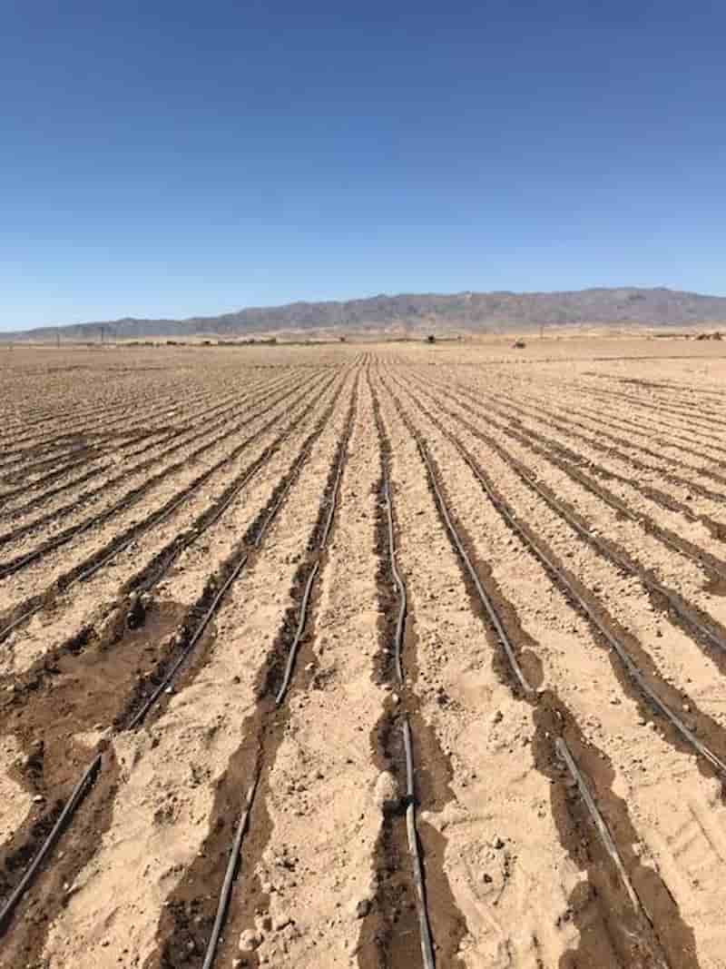 تصویر 2 از نوار آبیاری کشاورزی برای کشت های مختلف